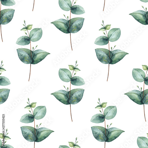 Watercolor floral seamless pattern with eucalyptus. Hand painted on white background