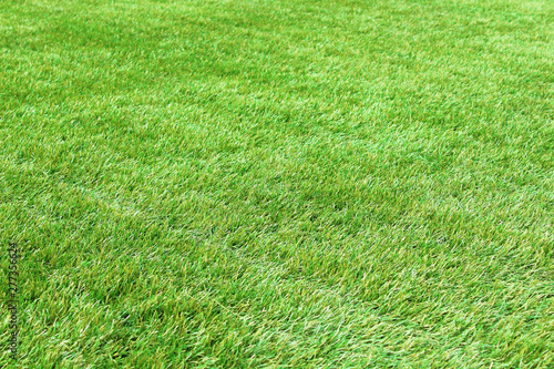Artificial green grass. Background. Texture.