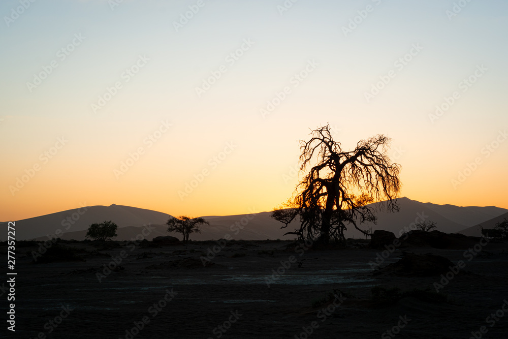 Sossusvlei Desert, Namibia, sunrise behind the dunes	
