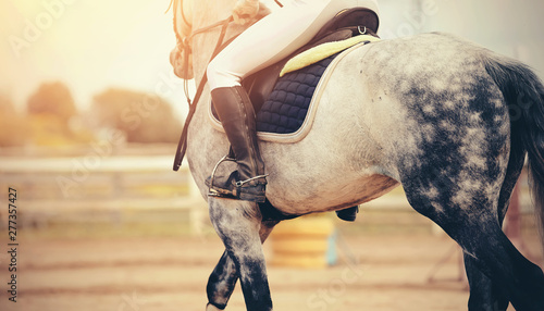 The leg of the rider in the stirrup