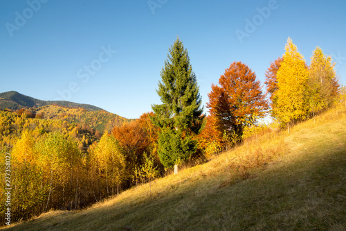 Autumn Colors - Landscape  - Outdoor - Rural Scene.