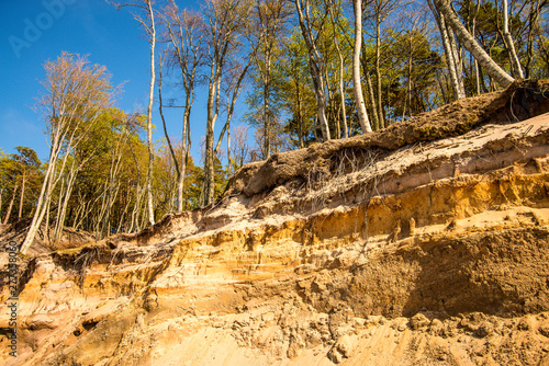 Fototapeta Naklejka Na Ścianę i Meble -  beach of the Baltic Sea in Orzechowo, Poland, dunes with trees a