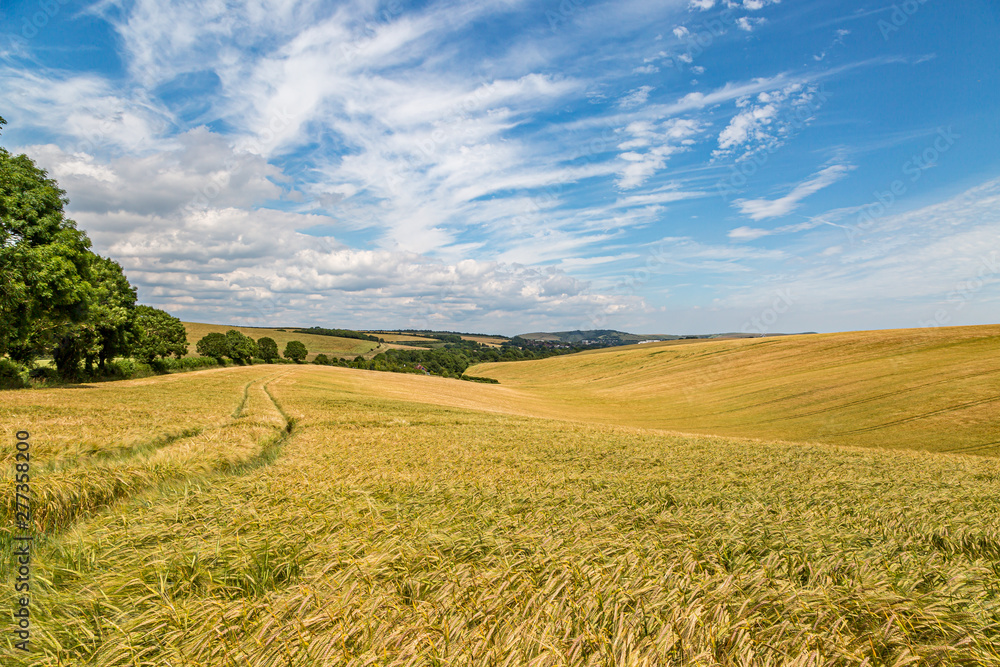 A summer farm landscape seen from along the South Downs Way in Sussex