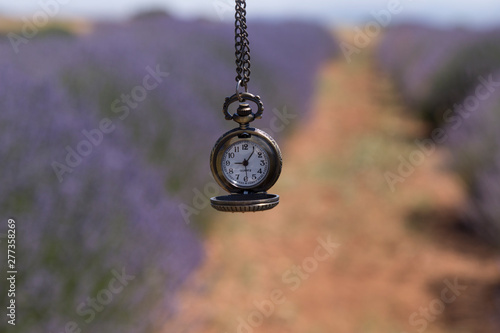 the woman hold the clock in the lavender field.