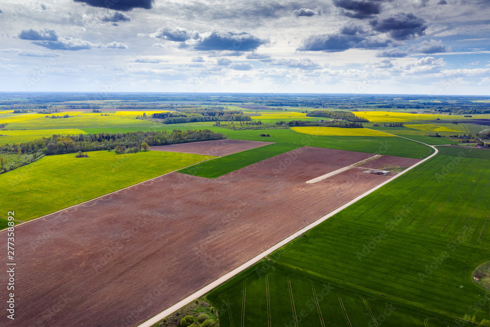 Brown and fresh agricultural fields in spring time. - obrazy, fototapety, plakaty 