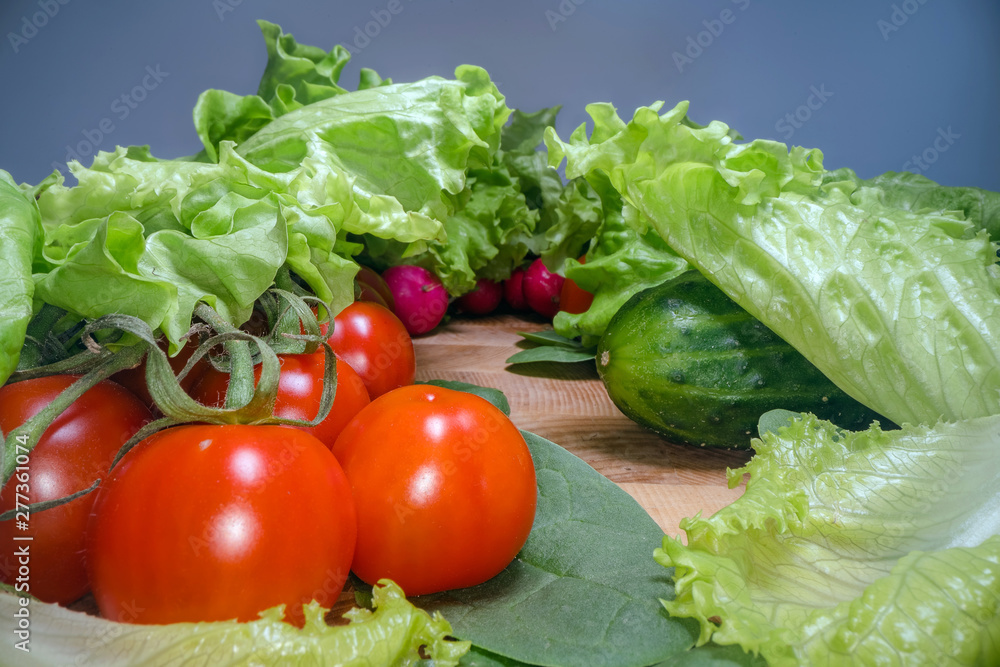 Home grown and harvested vegetables on wooden table background. Fresh lettuce, salad, tomato, radish, spinach and cucumber. Healthy eating lifestyle Home grown and harvested vegetables on wooden table background. Fresh lettuce, salad, tomato, radish, spinach and cucumber. Healthy eating lifestyle