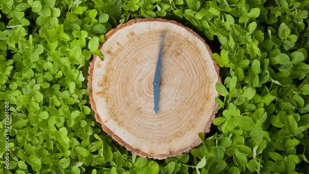 Clock hands on a tree stump. CG animation. Concept of ecology, environment problem, and deforestation. Seamless loop animation, cinemagraph. Clock hands on a tree stump. CG animation. Concept of ecology, environment problem, and deforestation. Seamless loop animation, cinemagraph.