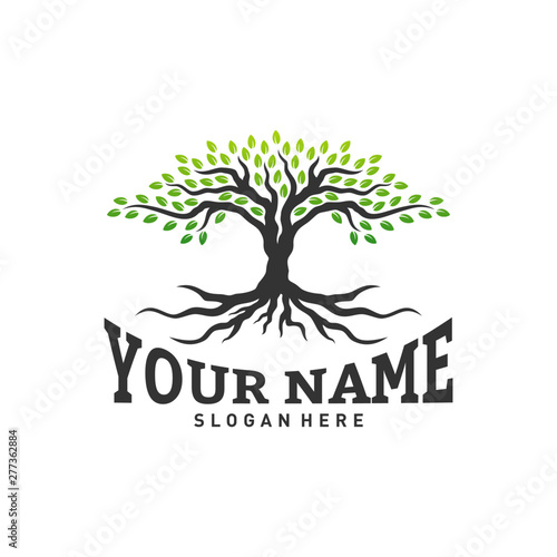 Colorful vibrant tree logo design concept vector. Root of Tree life logo design template inspiration. Icon Symbol
