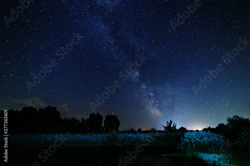 Starry sky and the milky way over water and trees.