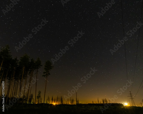 Starry sky above the trees.