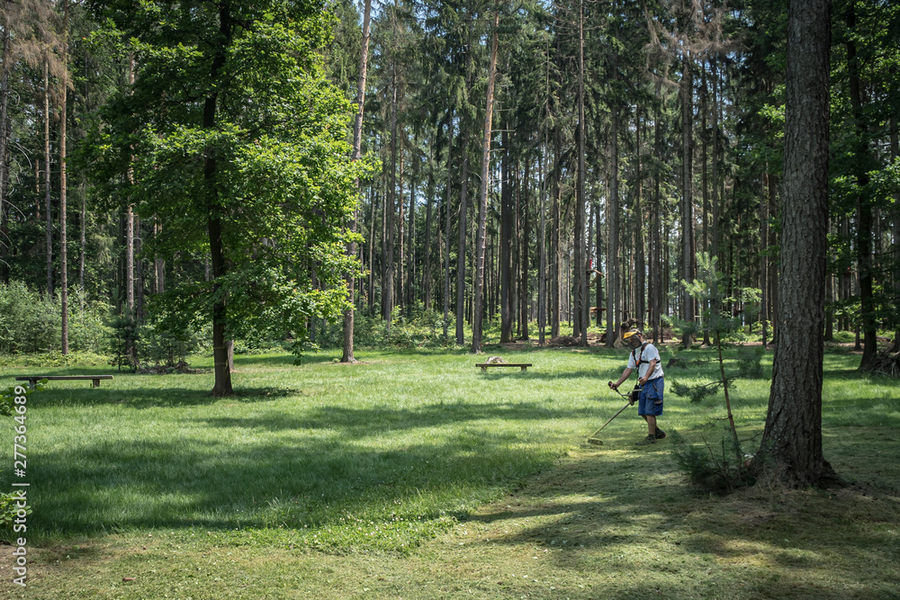 Mowing grasses in a meadow in the forest. Preparing for relaxation zone for rest in nature. Grill, sport, relax Mowing grasses in a meadow in the forest. Preparing for relaxation zone for rest in nature. Grill, sport, relax