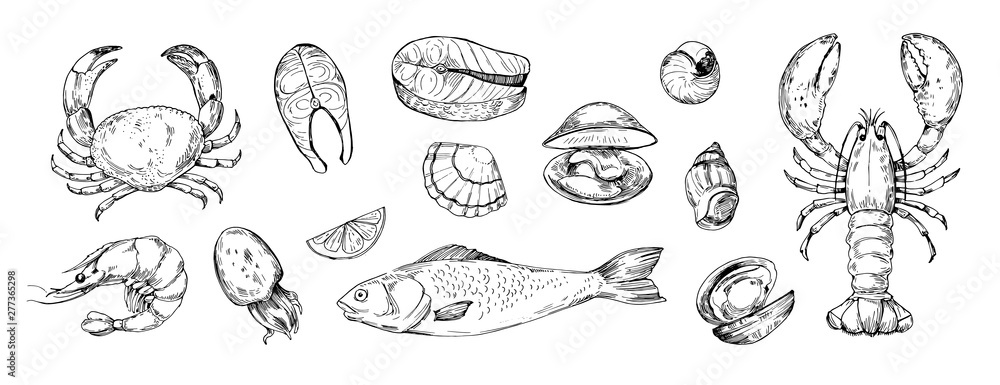 Set of seafood objects. Hand drawn illustrations converted to vector - obrazy, fototapety, plakaty 