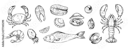 Set of seafood objects. Hand drawn illustrations converted to vector