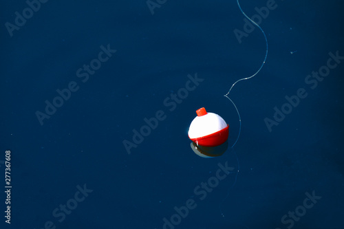 red and white floating fishing bobber with white fish line on dark blue water photo