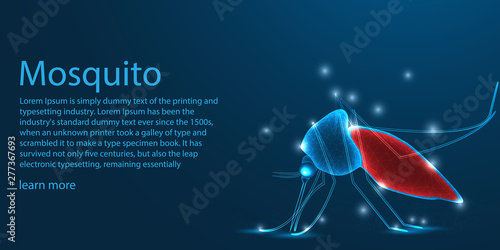 Mosquito sucking human blood. low poly wireframe theme concept on blue background concept. Illustration vector.