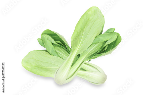 Bok choy vegetable isolated white background