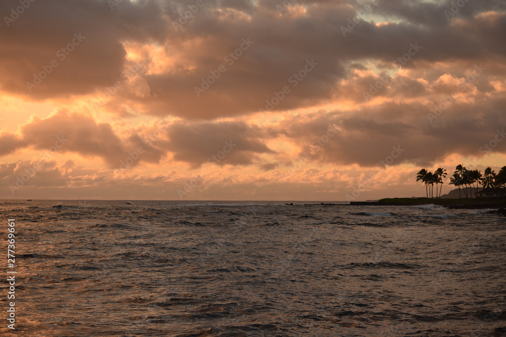 Tropical Hawaiian sunset sky over ocean water with silhouetted palm trees and copy space