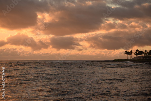 Tropical Hawaiian sunset sky over ocean water with silhouetted palm trees and copy space