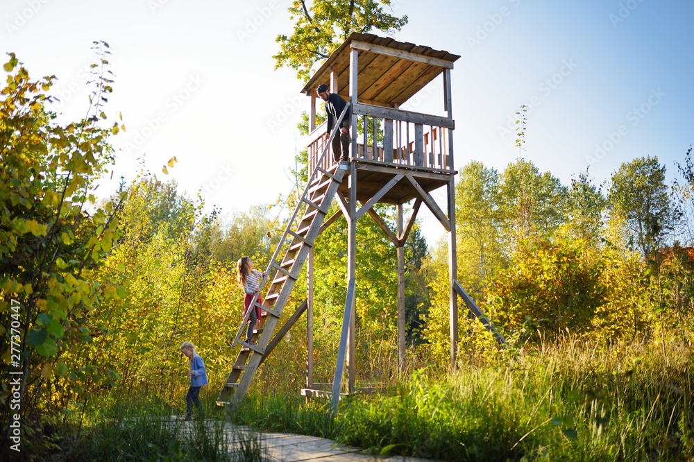 Father and kids having fun at observation tower on Tauciuliskes cognitive walking way, leading through beautiful autumn forest to the Tauciliuskes lake, Lithuania Father and kids having fun at observation tower on Tauciuliskes cognitive walking way, leading through beautiful autumn forest to the Tauciliuskes lake, Lithuania