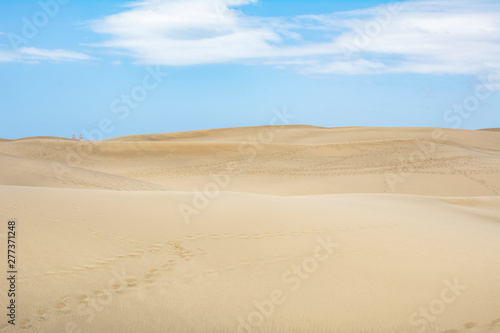 Beautiful summer vacation landscape with sand dunes and blue sky.