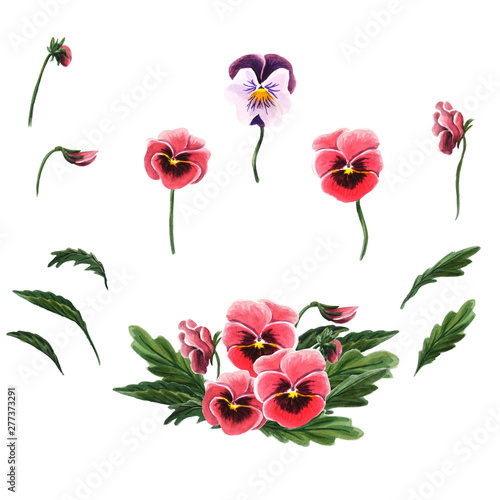 Single flowers, leaves and a bouquet of pansies isolated on a white background. 