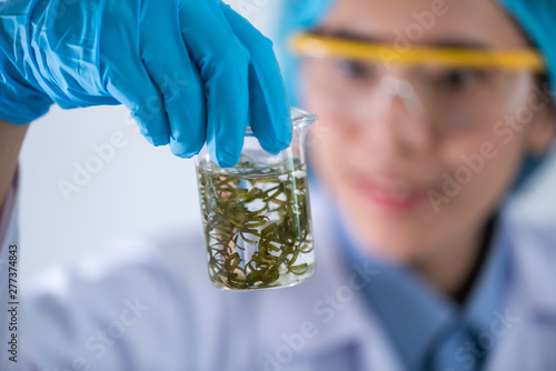 Biofuel research process in...