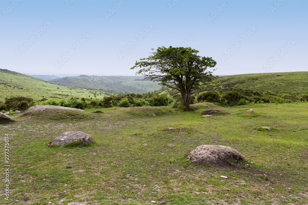 View of the rugged landscape of Dartmoor, UK View of the rugged landscape of Dartmoor, UK