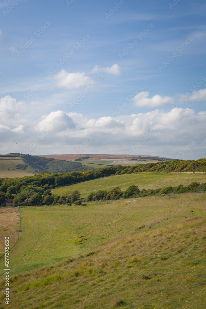 Naklejka premium Onto the fields