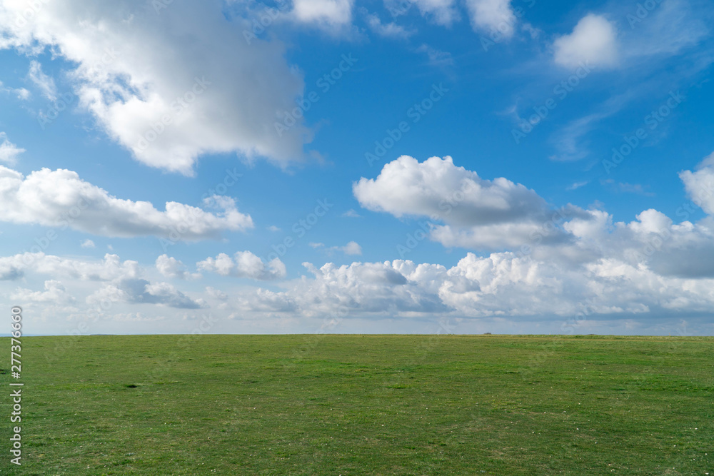 Green Field And Blue Sky Making A Perfect Horizon 