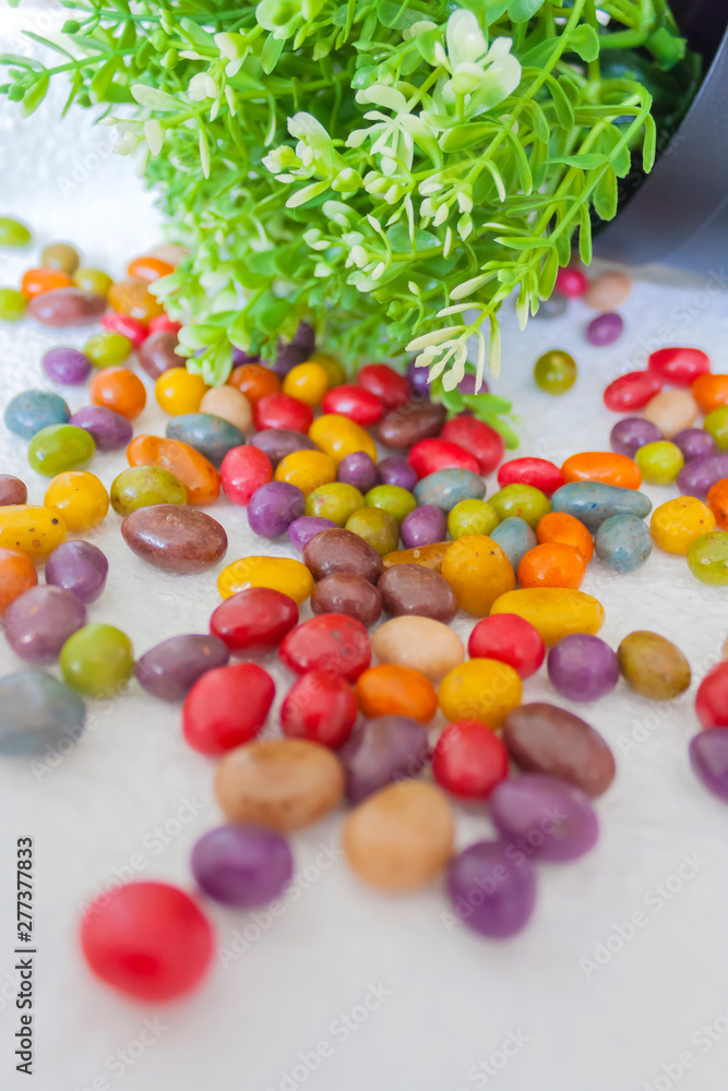 scattered multicolored candies and green plant with small blooms on a white background scattered multicolored candies and green plant with small blooms on a white background