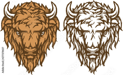 Bison Head Sketch