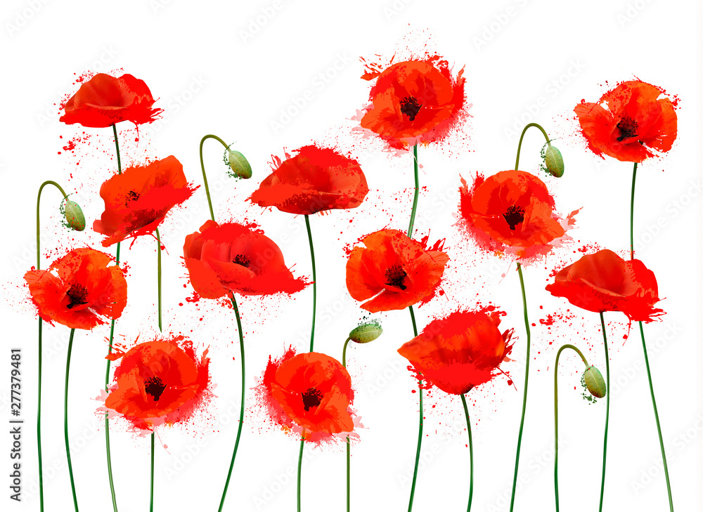 Obraz premium Abstract beautiful background with red romantic blooming poppies flowers. Vector.