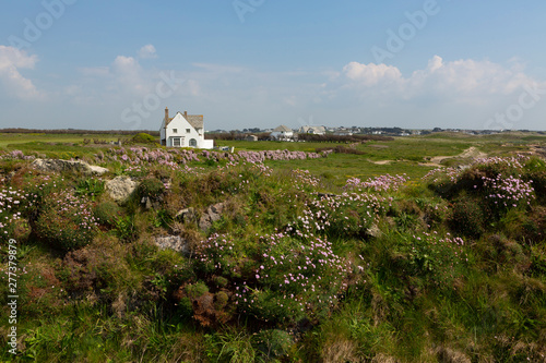 Cornish coastline at Trevose head, Cornwall,  UK photo