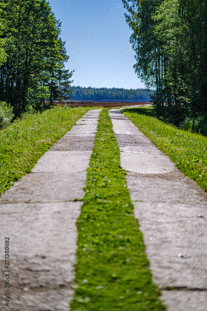 wooden plank footh path boardwalk in green foliage sourroundings wooden plank footh path boardwalk in green foliage sourroundings