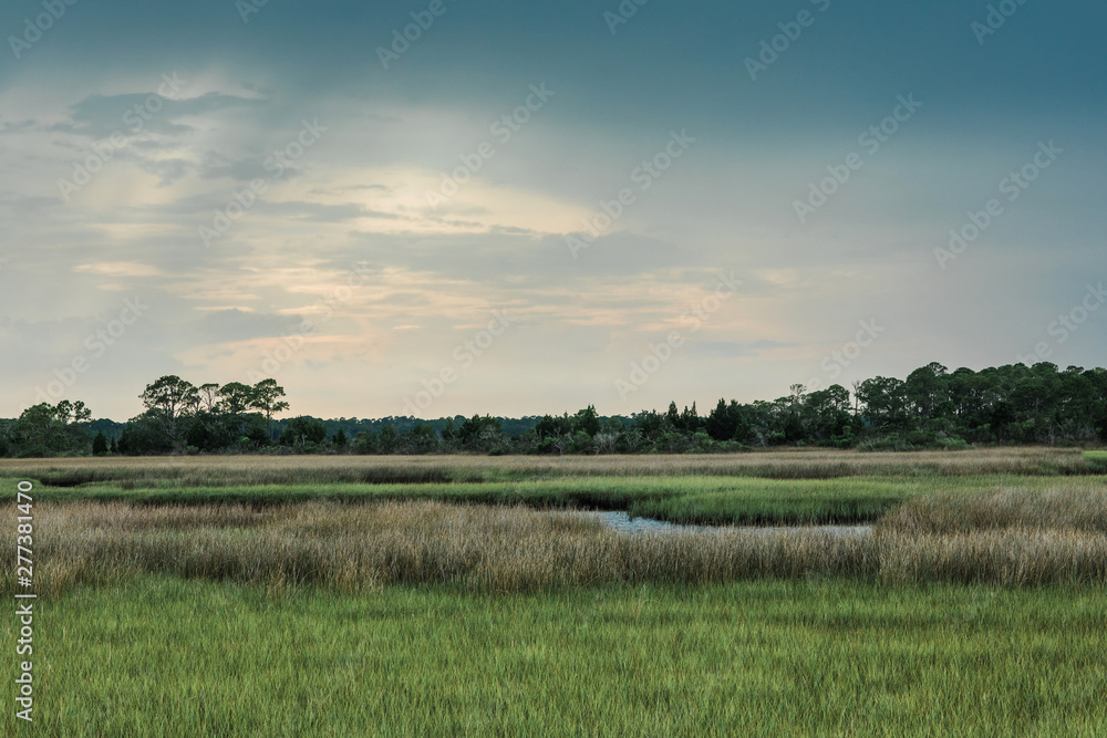 Florida Marsh land near the coast view at sunset at a state park. Wetlands in a state park near the beach.