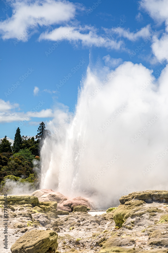 Geyser in New Zealand Rotorua