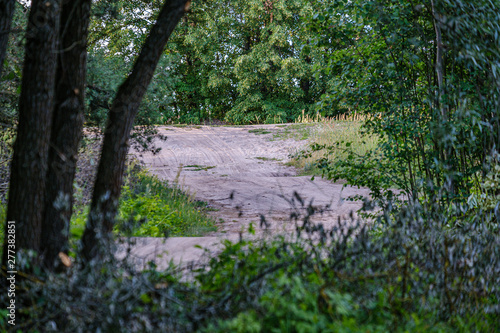 Fototapeta Naklejka Na Ścianę i Meble -  romantic gravel dirt road in countryside in summer green evening
