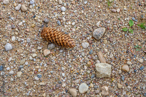 gravel dirt road texture with sand and pebbles