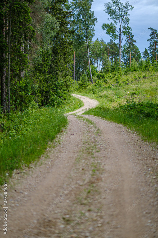 romantic gravel dirt road in countryside in summer green evening romantic gravel dirt road in countryside in summer green evening