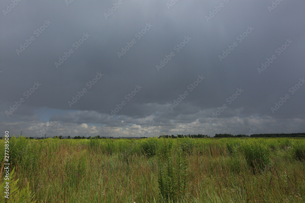 Gray sky over a green meadow. Summer landscape before a thunderstorm