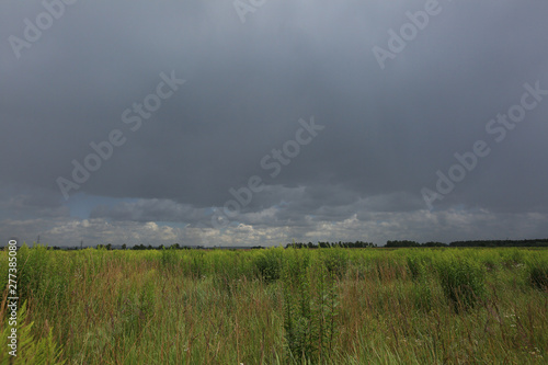 Gray sky over a green meadow. Summer landscape before a thunderstorm