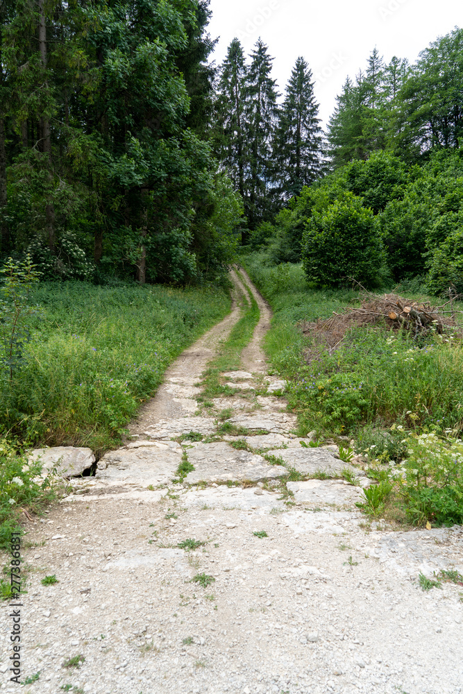 Obraz premium Wandern um Böttingen / Alter Schäferweg /Heuberg