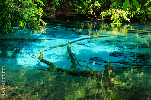 Fototapeta Naklejka Na Ścianę i Meble -  Blue Pool, turquoise crystal clear spring in middle of forest, Krabi, Thailand