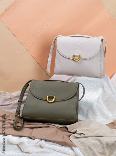 Tableau sur toile beautiful woman fashion bag