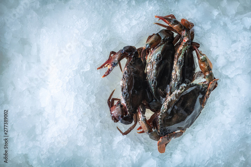 Sea delicacies. Fresh seafood. Soft-bodied crab on ice.