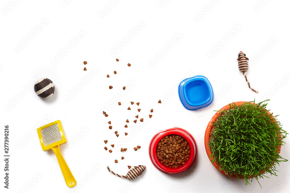 Flat lay composition with accessories for a cat isolated on white background. Pet care. Flat lay composition with accessories for a cat isolated on white background. Pet care.
