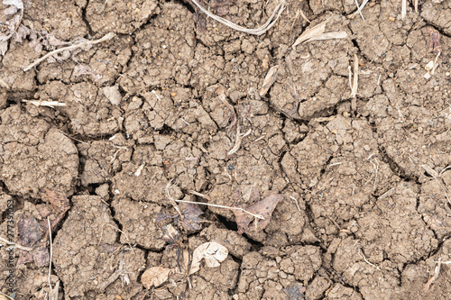 Texture of arid land surface with cracks. Drought and soil cracks.