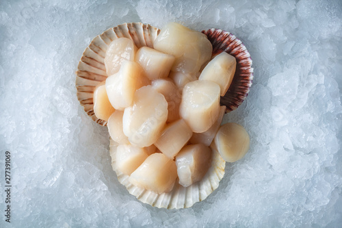 Fotografie, Obraz Sea delicacies. Fresh seafood. Scallops on ice.