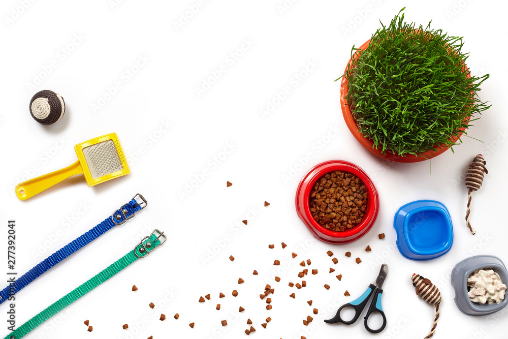Flat lay composition with accessories for a cat isolated on white background. Pet care. Flat lay composition with accessories for a cat isolated on white background. Pet care.