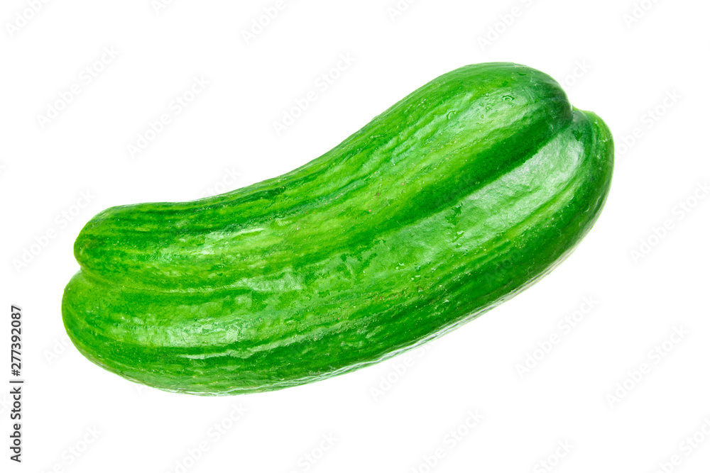Other side of cucumber fused as Siamese twins Other side of cucumber fused as Siamese twins